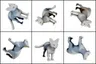 Pick the image that is the correct way up