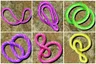 Pick the image with only one rope