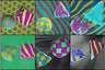 Pick the image of the striped cube and the checkered sphere