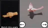 Use the arrows to rotate the animal to face in the direction of the hand