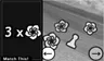 Use the arrows to change the number of objects until it matches the left image
